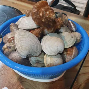 물찬조개 사진