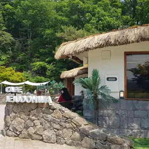 제주도화 리뷰 사진