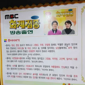 홍헤야 리뷰 사진