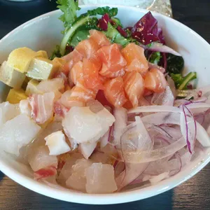 백야 사진