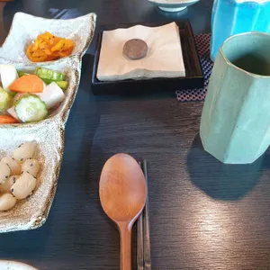 백야 사진