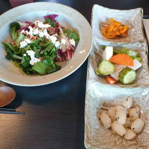 백야 사진