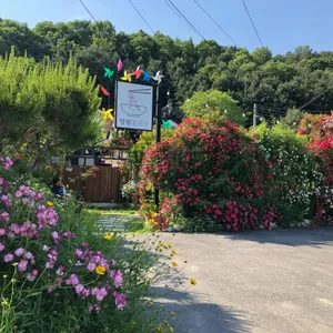 꽃국수 리뷰 사진