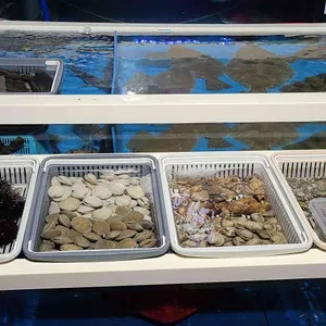 정주고회주고 사진