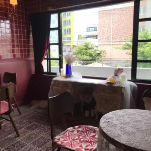 송키 리뷰 사진
