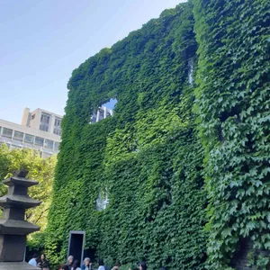 프릳츠 리뷰 사진