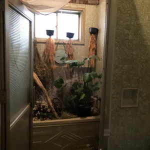 벌스 가든 리뷰 사진