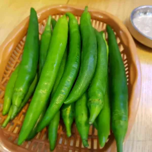 이북집 리뷰 사진
