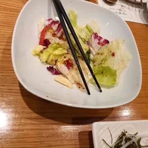 해초록 사진