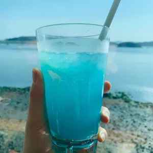 갤러리안 사진