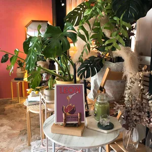 필로 리뷰 사진