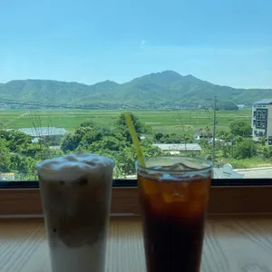 그린홀리데이 사진