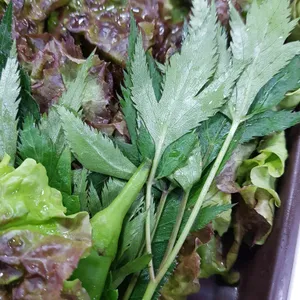 은성쌈밥 리뷰 사진