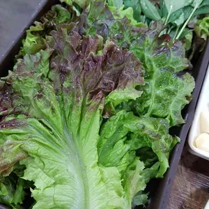 은성쌈밥 사진