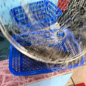 남경미락 리뷰 사진