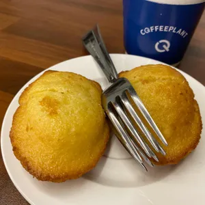 커피플랜트 사진