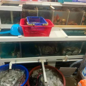 뚱보네 리뷰 사진