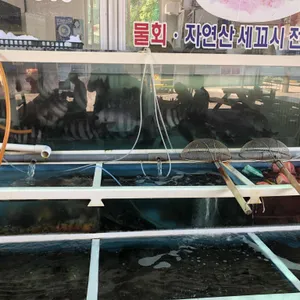양씨네횟집 리뷰 사진