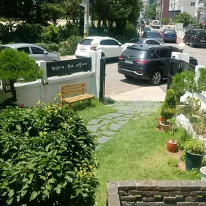 칼국수미학 리뷰 사진