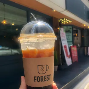 포레스트 사진