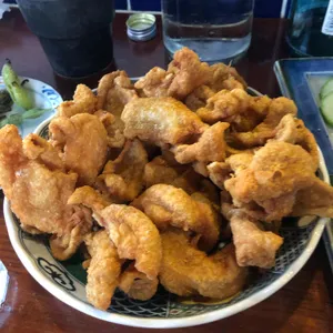고파 사진