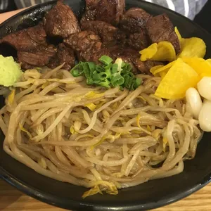 홍대개미 사진
