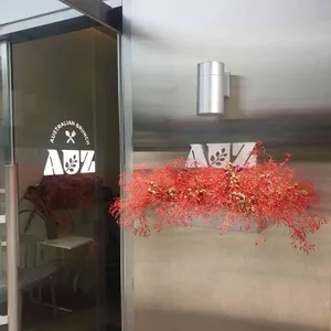 AUZ 리뷰 사진