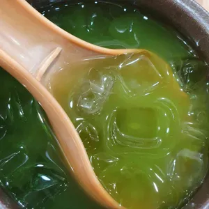 소풍 사진