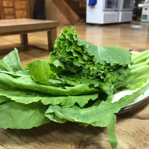 팔도강산 사진