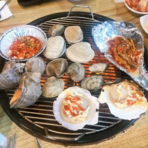 물찬조개 사진