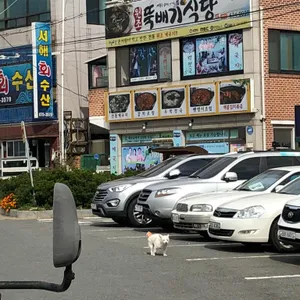 원조뚝배기식당 리뷰 사진