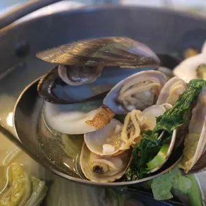 바브로 사진