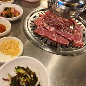 돼지꿈꾸다 사진