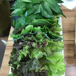 논두렁 우렁쌈밥 리뷰 사진