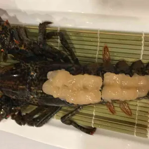 어진화사 사진