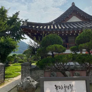 꽃피는춘삼월 리뷰 사진