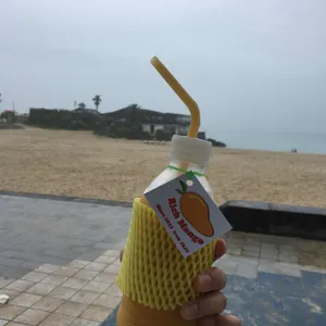 리치망고 리뷰 사진