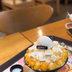 설빙 사진