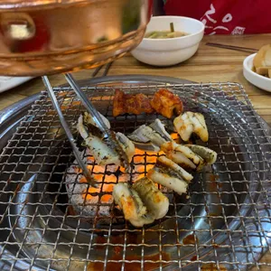 덩굴아나고 사진