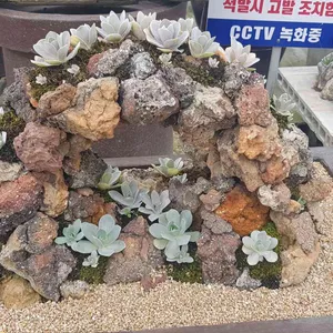 고향흑염소 리뷰 사진