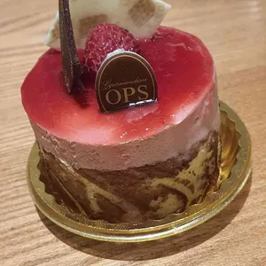 옵스 리뷰 사진