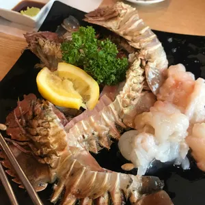 제주도래미 사진