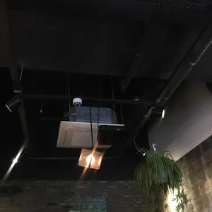 오페라빈 로스터스 리뷰 사진