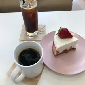 모니모니 사진