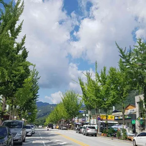 배영숙산야초밥상 리뷰 사진