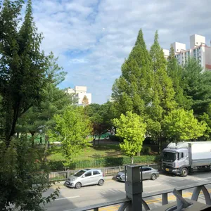 하라규동 리뷰 사진