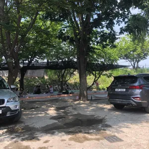 느티나무집 리뷰 사진