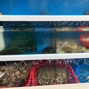 내꾸미 쭈꾸미 리뷰 사진