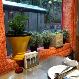 뉴델리 리뷰 사진