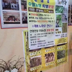 어인마니산삼궁 리뷰 사진